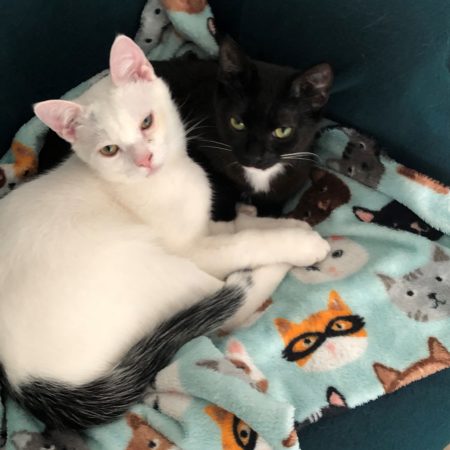Bella & Bob